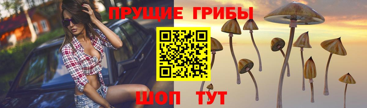 Галлюциногенные грибы ЛСД  Вход с VPN  Псилоцибиновые грибы мицелий  Чехов 